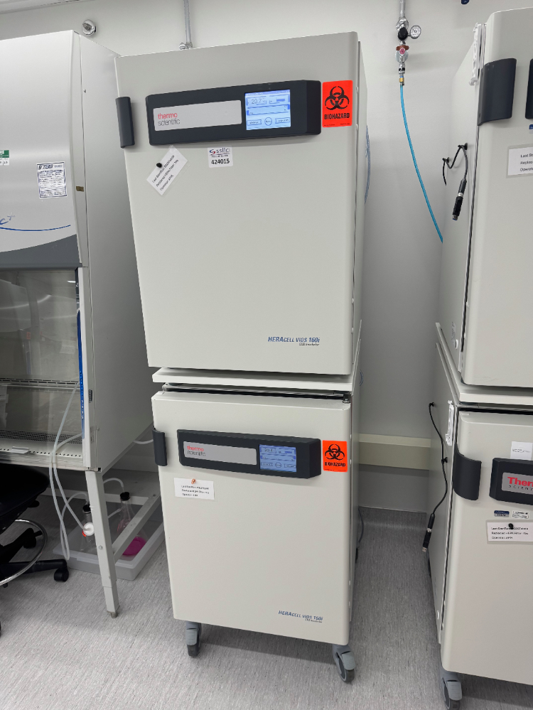 Image of Thermo HERAcell vios 160i Double Stack CO2 Incubator